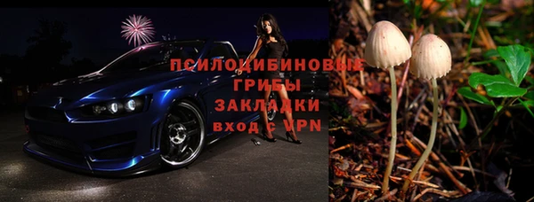 прущий лед Алексеевка