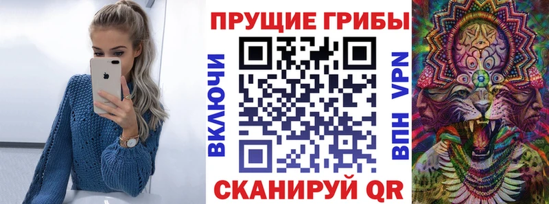 mega как войти  Вытегра  Псилоцибиновые грибы Psilocybe 
