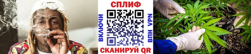 Каннабис AK-47 Вытегра